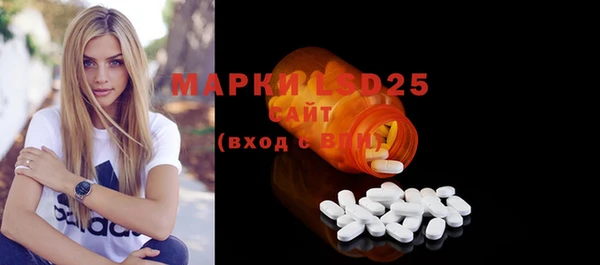 гидра Приозерск