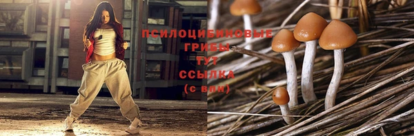 кокс Алексин