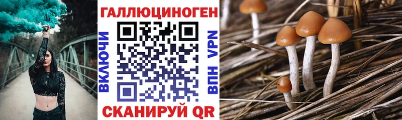 Галлюциногенные грибы Magic Shrooms  купить  сайты  hydra ТОР  Бердск 