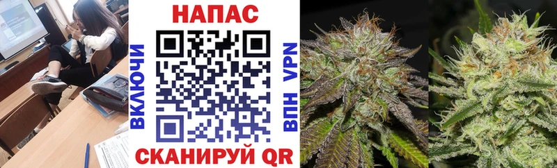 Конопля OG Kush  цены   darknet официальный сайт  Бердск 
